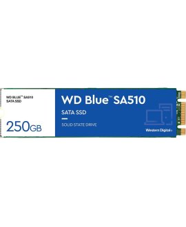 WDS250G3B0B Blue SA510 SATA SSD 2.5 inç 7 mm kasalı 250GB