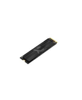 IRDM IRP-SSDPR-P44A-1K0 1TB PRO SSD P34B PCIe 7000/5500MB/s 4X4 M2 2280